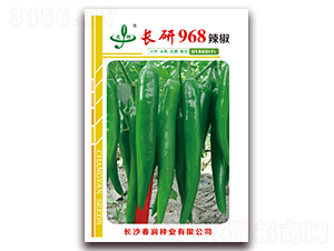 長(zhǎng)研968-辣椒種子-春潤(rùn)種業(yè)