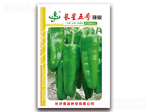 �L����̖-�����N��-�����N�I(y��)