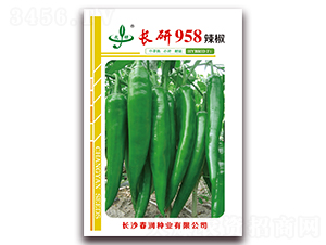 �L��958-�����N��-�����N�I(y��)