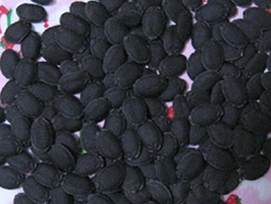 �z�ϷN��-�r(n��ng)����