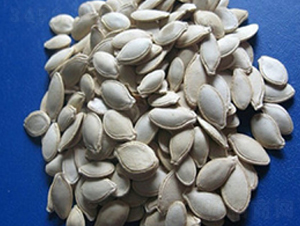 �����J�N��-�r(n��ng)����