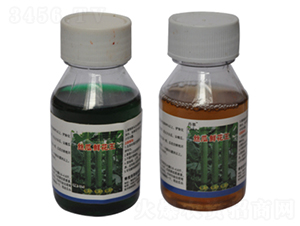 �z���r�����M��-�r(n��ng)����