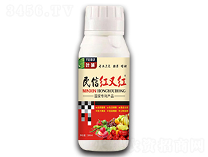 民信紅又紅-葉哺-豐泰