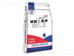 20kg��������-��r(sh��)����