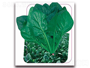 �������v-���˷N��-����(y��u)�r(n��ng)�I(y��)