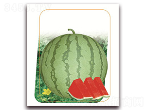 �Ե�-���ϷN��-����(y��u)�r(n��ng)�I(y��)