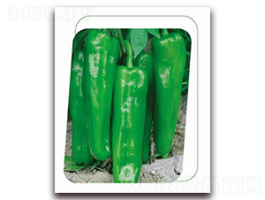 ����5̖(h��o)-�����N��-����(y��u)�r(n��ng)�I(y��)