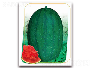 ����(y��u)880-���ϷN��-����(y��u)�r(n��ng)�I(y��)