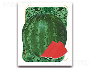 ��(l��)��-���ϷN��-����(y��u)�r(n��ng)�I(y��)