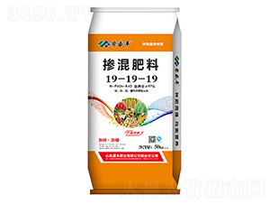 �������19-9-19-ʢ�S�ʘI(y��)