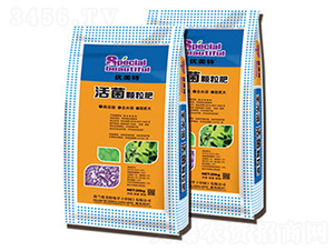 ����w���ʃ�(y��u)����-����r(n��ng)�I(y��)