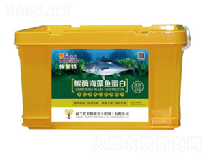 ̼ø�����~����-��(y��u)����-����r(n��ng)�I(y��)