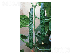 ������65-�S�ϷN��-���N�I(y��)