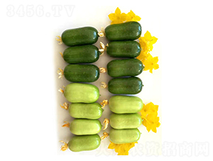 ��ͯ��Ů-�S�ϷN��-���N�I(y��)