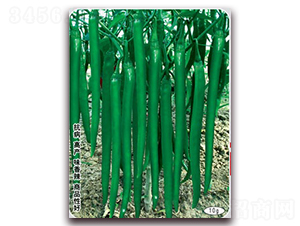 �¸������S��̖-�����N��-(li��n)�S�N�I(y��)