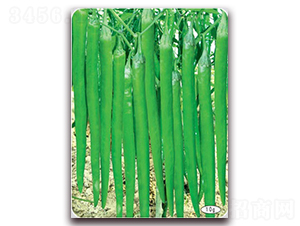 ���S��̖-�����N��-(li��n)�S�N�I(y��)