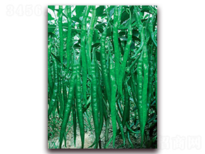 ����(y��u)��̖-�����N��-(li��n)�S�N�I(y��)