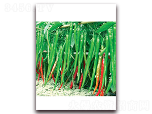 ���x���S��̖-�����N��-(li��n)�S�N�I(y��)