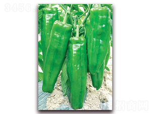 (li��n)�S����-�ݽ��N��-(li��n)�S�N�I(y��)