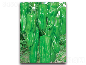 ������̖-�ݽ��N��-(li��n)�S�N�I(y��)