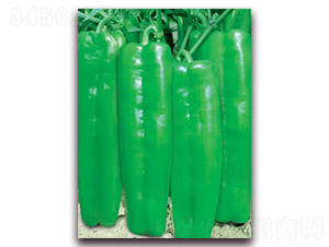 ��������911-�ݽ��N��-(li��n)�S�N�I(y��)