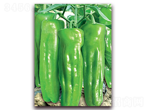 (li��n)�S�r��-�ݽ��N��-(li��n)�S�N�I(y��)