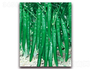 ħζ-�⽷�N��-(li��n)�S�N�I(y��)