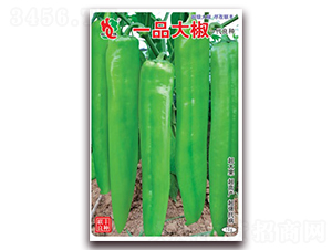 һƷ��-�⽷�N��-(li��n)�S�N�I(y��)