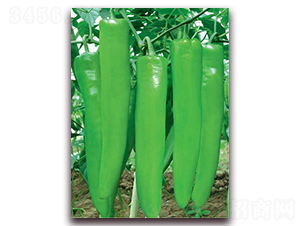 �_��һ̖-�⽷�N��-(li��n)�S�N�I(y��)