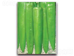 ����999-�⽷�N��-(li��n)�S�N�I(y��)