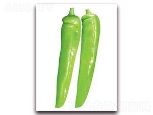 ���\����-�⽷�N��-(li��n)�S�N�I(y��)