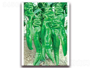 ���S�a����һ̖-�ݽz���N��-(li��n)�S�N�I(y��)