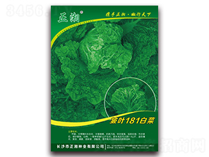 ���~181�ײ�-�ײ˷N��-����N�I(y��)