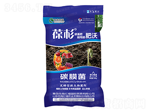 ̼Ĥ��-��ɼ-ס�̺긣