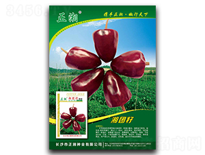 ���F��-���콷�N��-����N�I(y��)