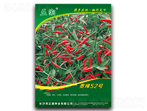 �����F��52̖-���콷�N��-����N�I(y��)