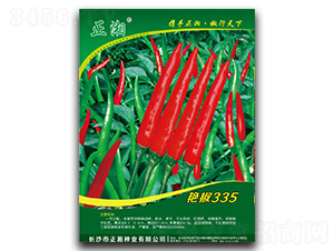 �����G��335-���콷�N��-����N�I(y��)