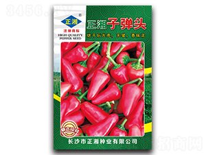 �����ӏ��^-���콷�N��-����N�I(y��)