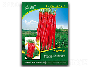 ����7̖-�����N��-����N�I(y��)