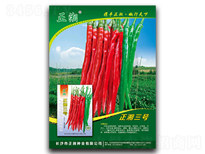 ������̖-�����N��-����N�I(y��)