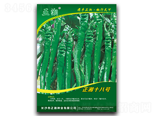 ����ʮ��̖-�����N��-����N�I(y��)