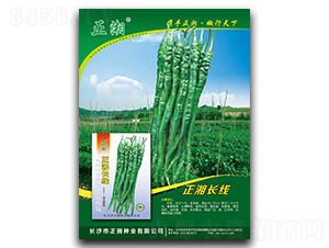 �����L��-�����N��-����N�I(y��)