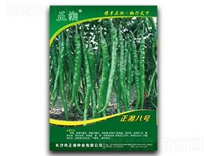 �����̖-�����N��-����N�I(y��)