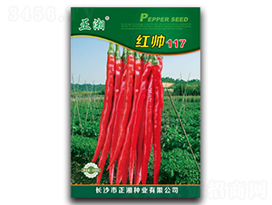 �t��117-�����N��-����N�I(y��)