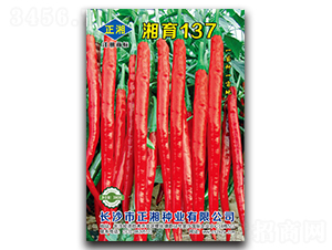 ��������137-�����N��-����N�I(y��)