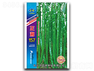 正湘157-線椒種子-正湘種業(yè)