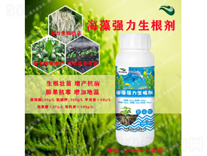 ���及(qi��ng)��������-�W�SԴ