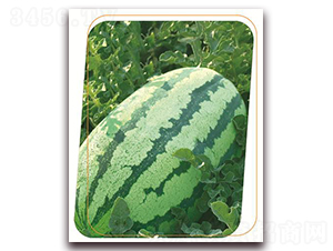 ��ʢ��̖(h��o)-���ϷN��-����(y��u)�r(n��ng)�I(y��)