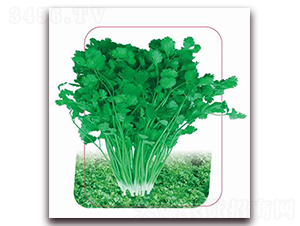 ����˹-��˷N��-����(y��u)�r(n��ng)�I(y��)