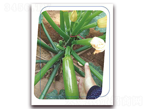 ����1528-�����J�N��-����(y��u)�r�I(y��)